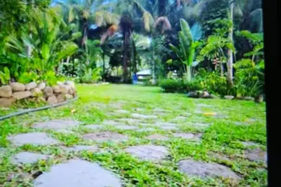 Image de Princess Palace - Looc