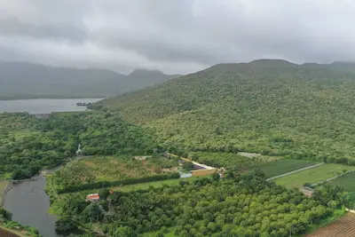 Image de Boutique wilderness stay by forest lawns. Peaceful! Pet‑Friendly!