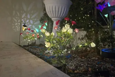 Image de Welcome Love Rome - apartment surrounded by greenery