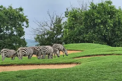 Image de Villa in Vipingo Ridge Golf Course. - Near Mombasa