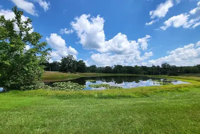 Image de Countryside 3-Bedroom Home with Pond near I57/R148 & Lake of Egypt