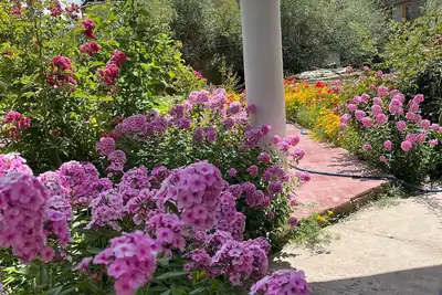 Image de \"Escape to Serenity: A Charming Garden Home Stay Retreat\"