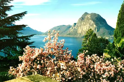 Image de Romantic residence in the middle of a Mediterranean park-near the lake-pool-private road