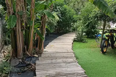 Image de Gîte citadin avec jardin arboré