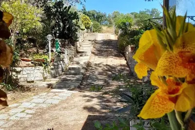 Image de Belvedere House, surrounded by greenery 2 km from the beaches