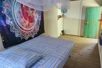 Image de Jungle house