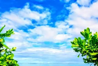 Image de Moorea - Fare Taina Iti