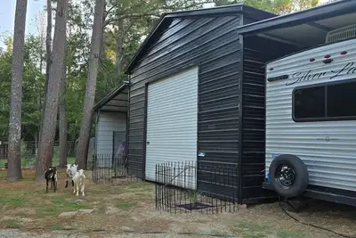 Image de Tranquil Rv in charming Aiken in private paddock with room for your horses.