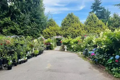 Image de Cozy 3br Villa · Garden View · Near Beach, short & long term rent, Local foods