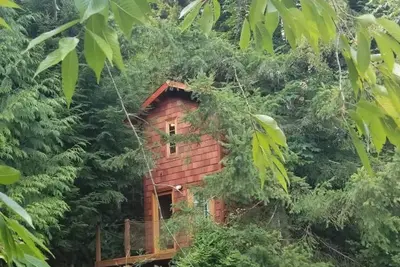 Image de Large Estate Venue 2 hot tubs 2 treehouses