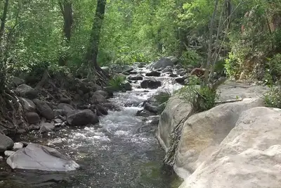 Image de Cozy cottage on the creek
