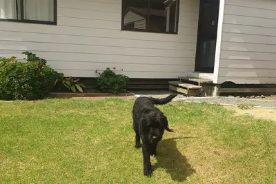 Image de Kaipara Dargaville Pouto Farm Cottage  beautiful working Beef and Sheepfarm. .