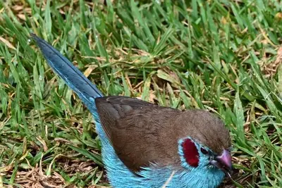 Image de The Falls Hippo Point