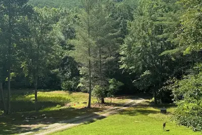 Image de Privacy, Views, Pond, Creeks! pooltable-arcade-minutes to BlRdg-Lake-dogs welcome