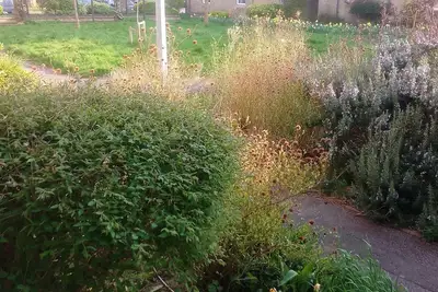 Image de Serene Calm flat in a beautiful part of Cambridge Uk. 1 dble Room 1 other guest.