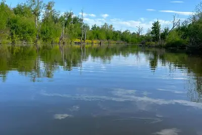 Image de Dave’s River House