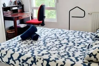 Image de Spectaculaire vue sur la Loire et les machines