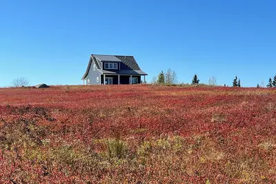 Image de Secluded blueberry field retreat with sweeping 360 views.