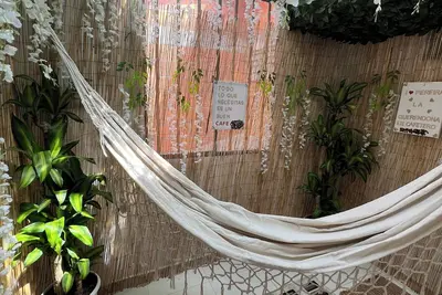 Image de Spacious 4-Bedroom House with Ac, Double Parking & Coffee Region Charm