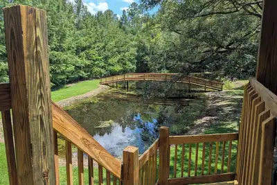 Image de Delightful 4-Br with pond, deck, spacious yards in Picayune
