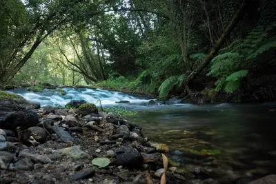 Image de Mill in the middle of nature 5 minutes from the center of Ponte de Lima