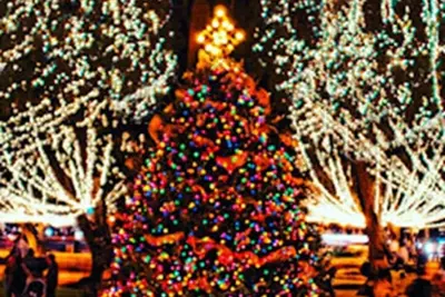 Image de Coastal Cottage near Winery