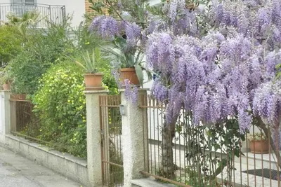 Image de Spacious and cozy equipped apartment in the center near the beach