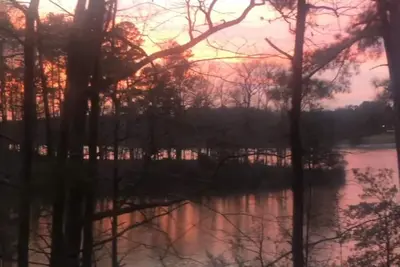 Image de Lucky Dog Lakeside Cabin on Prentiss Walker Lake
