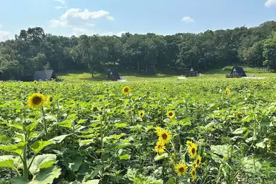 Image de Cabin 2: Discover our good nature at The Wildflower