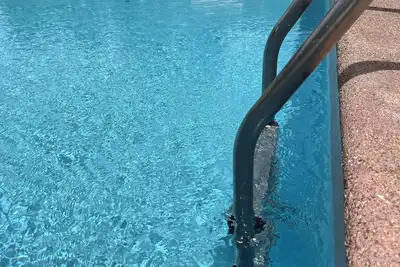 Image de Maisonnette Accolée St Ferréol le lac / vacances au pied de la montagne noire