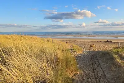 Image de Maison de plage avec piscine - Erdeven, Carnac - fleur des dunes
