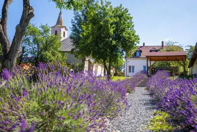 Image de Nora Guest House, Nagygörbő, Hungary
