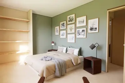 Domus Vinea, Domus Vinea