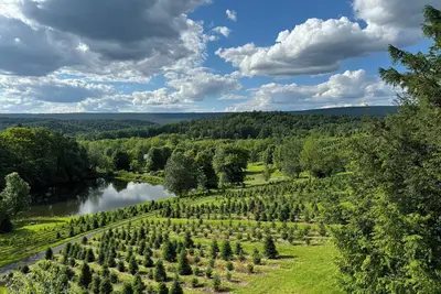 Image de Christmas Tree Farm A-Frame Retreat: Sauna + Views + Near Psu