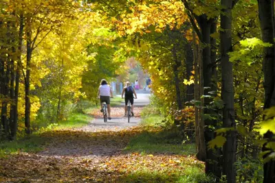 Image de Comfortable one-bedroom apartment in Elora! Minutes to downtown & Gorge park!