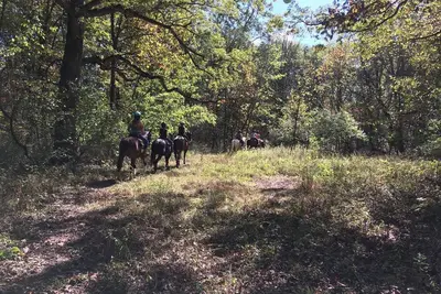 Image de Welcome to our magical woods! Relax, unwind a world away but close to home.