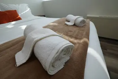 Image de 2-bedroom apartment in Midtown Memphis with Ac, fitness room