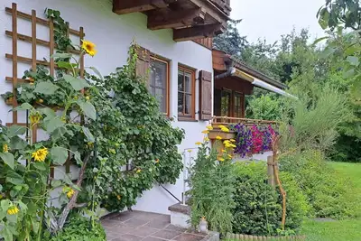 Image de Agréable appartement pour 6 personnes avec Wifi, Tv, patio et animaux admis