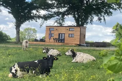Image de La Tiny de Tout Joly pour les amoureux de nature et de produits bio