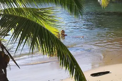 Image de Cook’s Bay Beach Bungalow