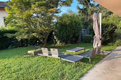 Image de Vue unique sur le lac dans un parc verdoyant