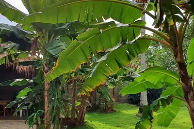 Image de Appartement calypso bord de mer