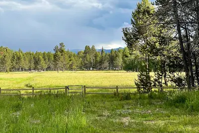 Image de Forest retreat with meadow views, family warmth, starry nights and a hot tub