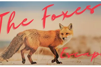 Image de The Foxes Escape – Full House | Kalbarri | Sleeps 8 | Views & Wildlife