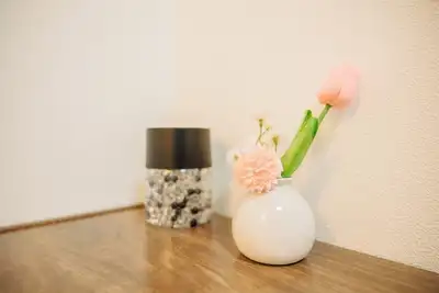 Image de X103 Nagoya Station area  Courtyard rental detach / Nagoya Aichi