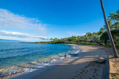 Image de Kapalua Golf Villas - Double Retreat in Maui’s Premier Resort, Sleeps 8 in Total