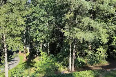 Image de Welcome to “The Pines” at The Cedars