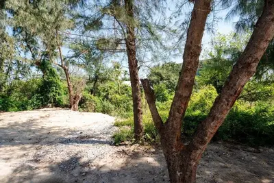 Image de Cool 2-bedroom apartment with Ac in charming Hội An\nPine Beach Apartment