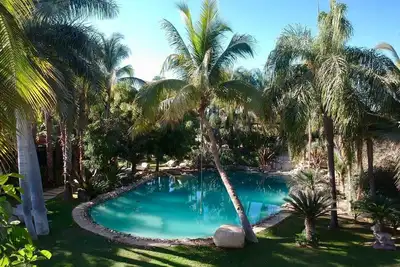 Image de Oasis en San José del Cabo: Jardin Tropical