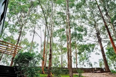 Image de The Cliff Luxury Mountain Escape